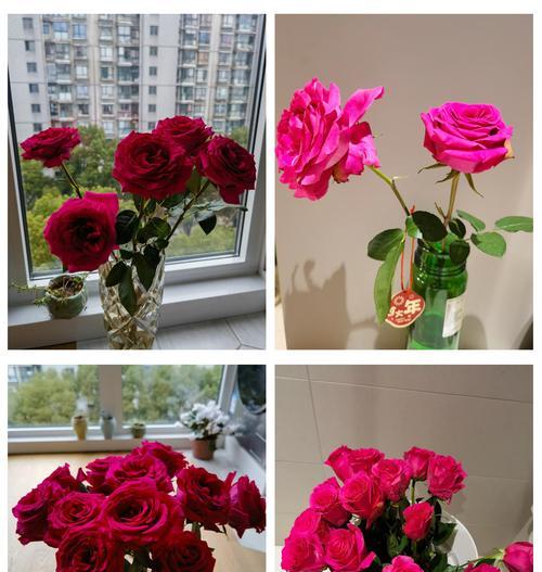 三条花的含义是什么？三朵花组合在花语中的特殊含义