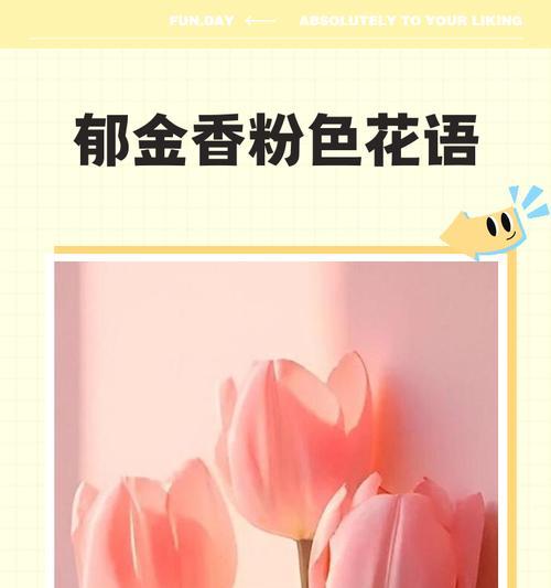 郁金香的花语是什么？它象征着什么？