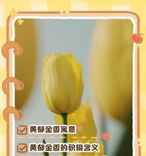 郁金香的花语是什么？它象征着什么？