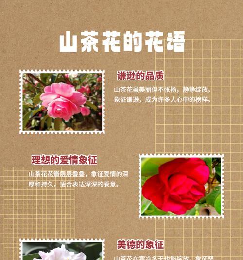 播放民族春节花语是什么？春节花卉有哪些吉祥的寓意？