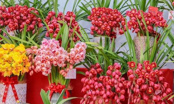 八种吉祥花各自寓意什么？如何选择吉祥花？