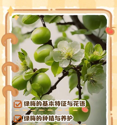 冬梅的花语是什么？冬梅花色在花语中承载了哪些意义？