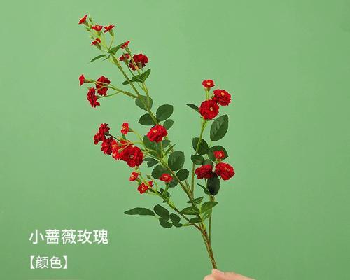结婚手捧蔷薇花代表什么？结婚时手捧蔷薇花有何深意？