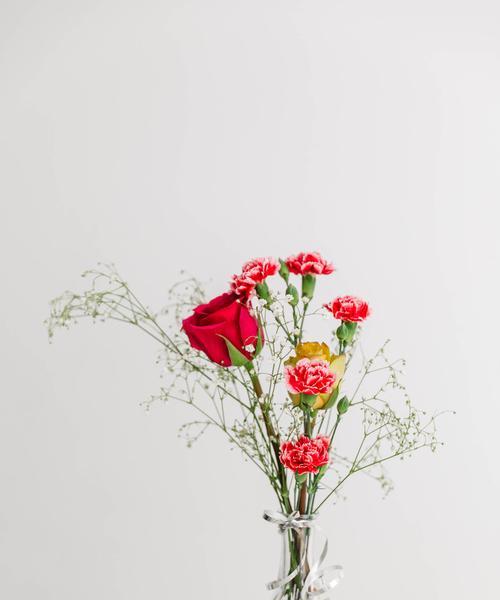 哪些花象征节节高升？寓意有何不同？