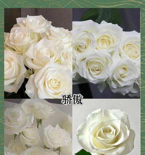 白色手工花代表什么？白色手工花的象征意义是什么？