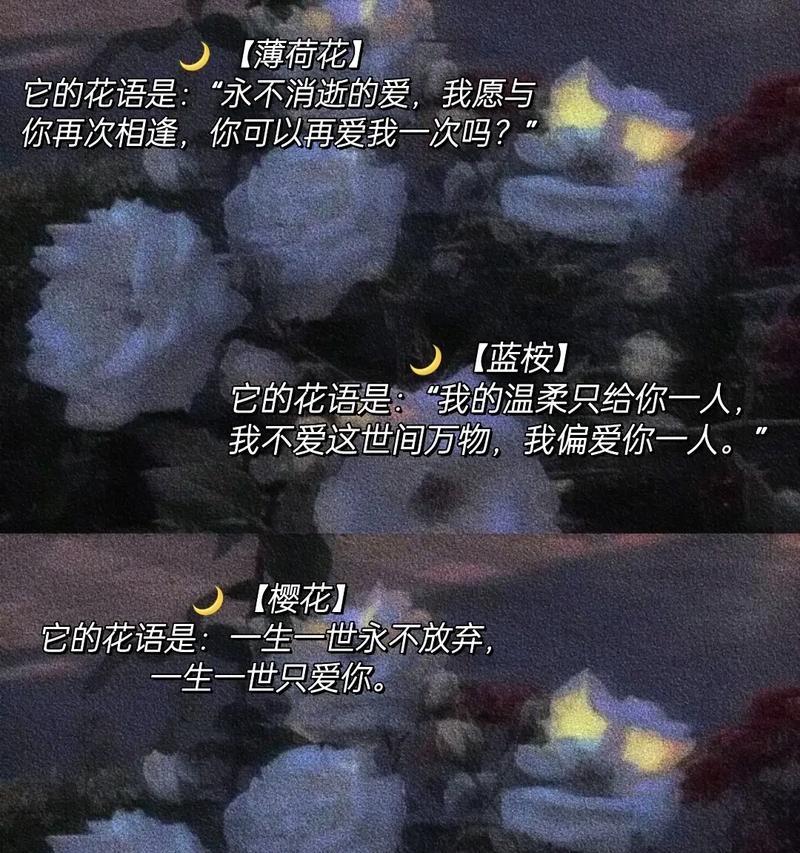 送闺蜜手捧花的意义何在？哪些花语适合闺蜜？