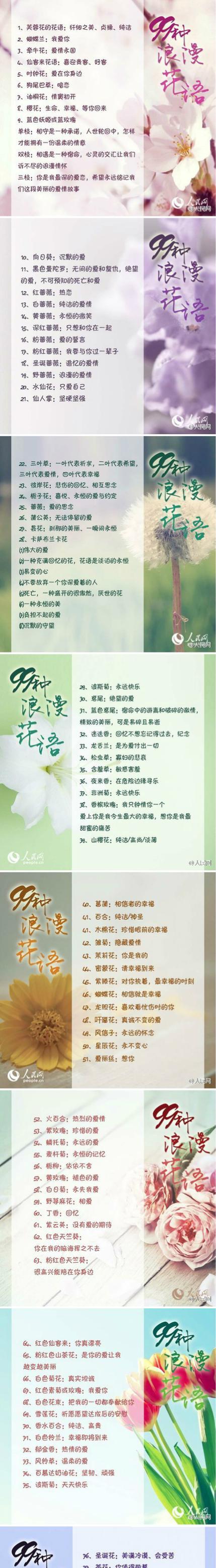 江南的浪漫花语有哪些？