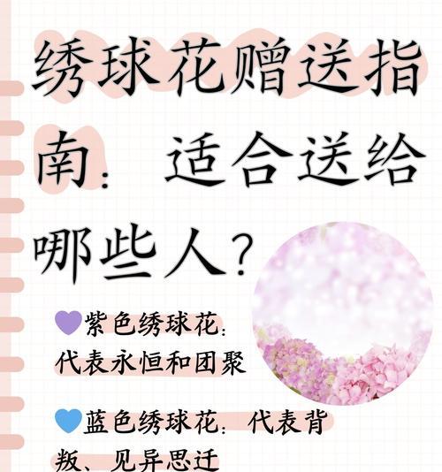 龙球花颜色的含义是什么？
