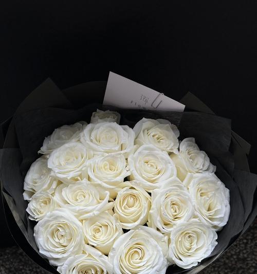 哪种玫瑰花带来好运？玫瑰花的寓意是什么？