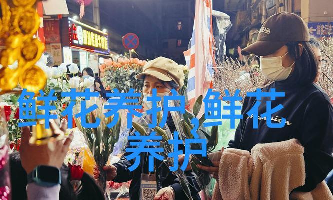 灯光节应该准备哪些花语？