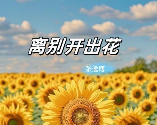 离别季节的象征是什么花？它代表了哪些含义？