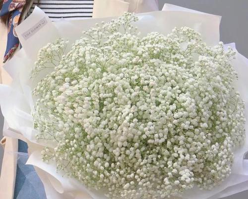 出院时应该说什么祝福的话？出院花语有哪些？
