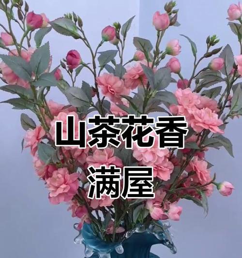 与春节有关的温暖花语是什么？春节送花有哪些讲究？