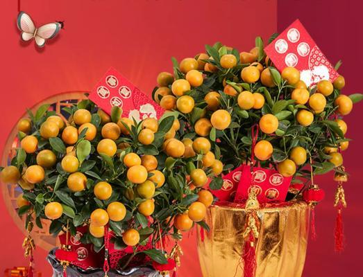春节花和桔子的寓意是什么？春节用花和桔子的意义？