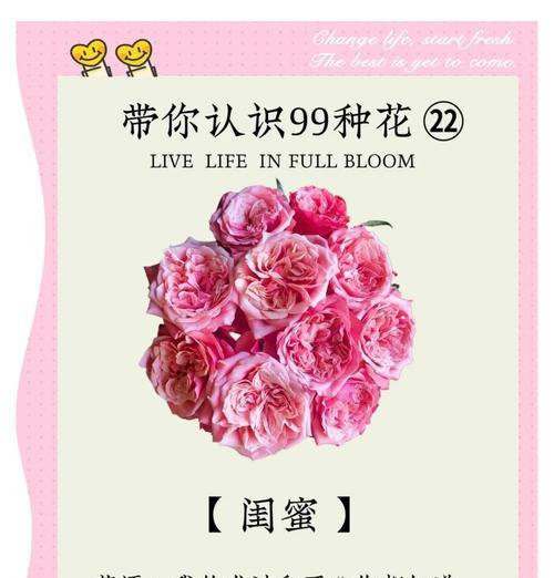 什么花象征幸福悲伤？幸福悲伤的花语解读？