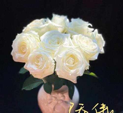 什么花象征着纯洁的爱情？