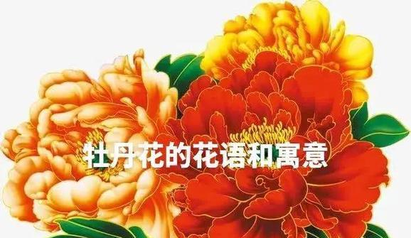 哪种花寓意幸福吉祥？幸福吉祥的花语是什么？