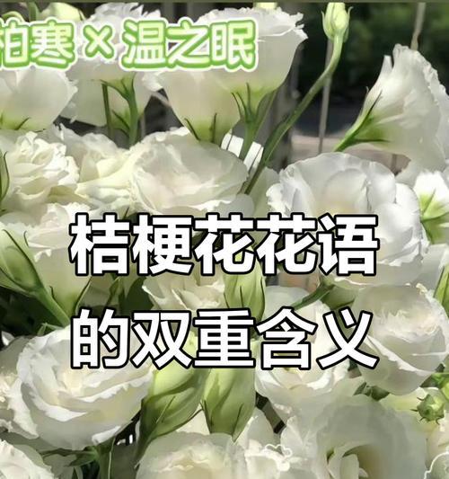 白色花的寓意是什么？