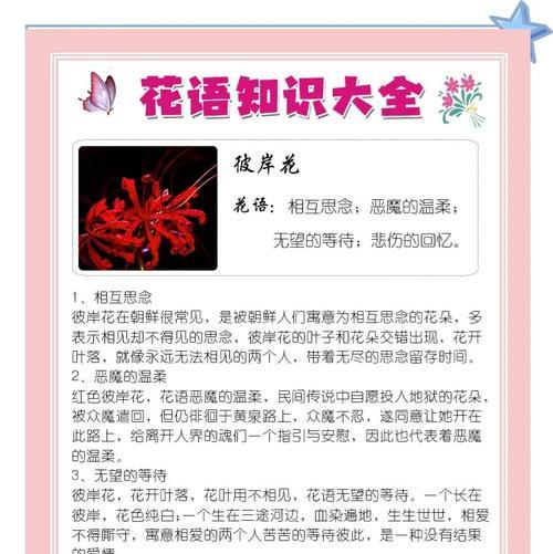 彼岸花在七夕节有何寓意？