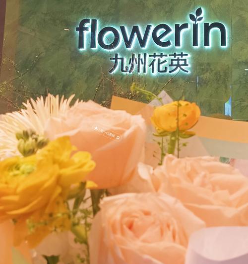 过年过节时打工者应送什么花？