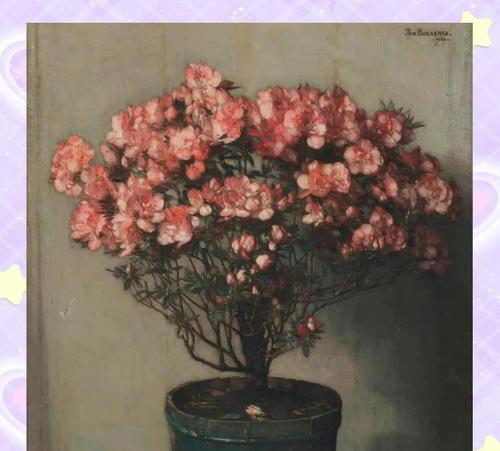 节制的花语是什么？有哪些花代表节制？