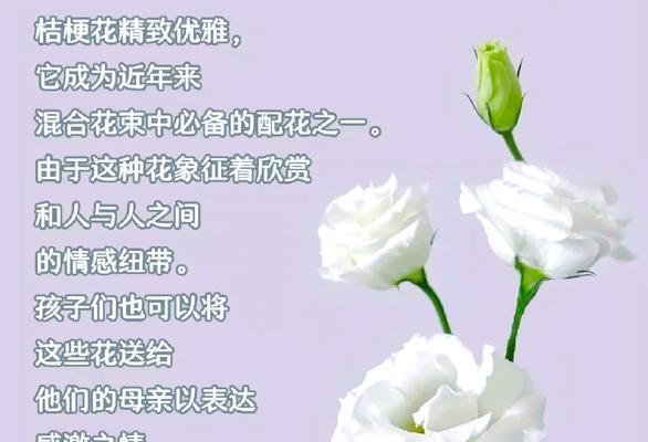 母亲节送花的意义是什么？它们代表了什么？