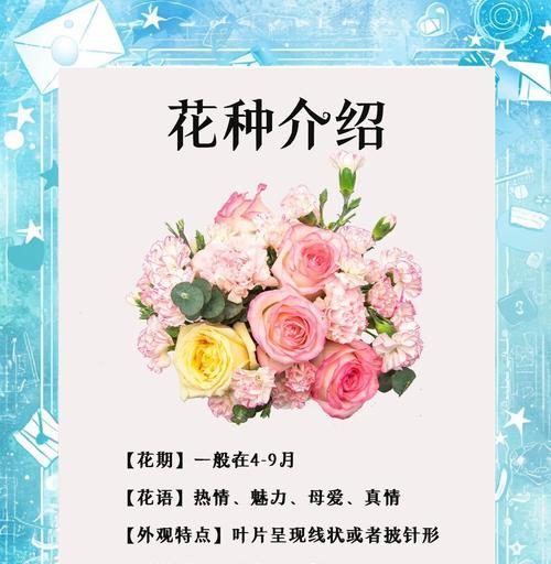 母亲节送花的意义是什么？它们代表了什么？