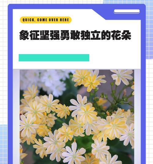 白色花象征坚强的是哪种？坚强的花有哪些？