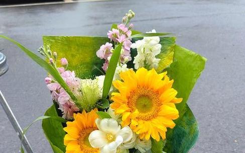 各种祝福花的寓意是什么？如何选择合适的祝福花？