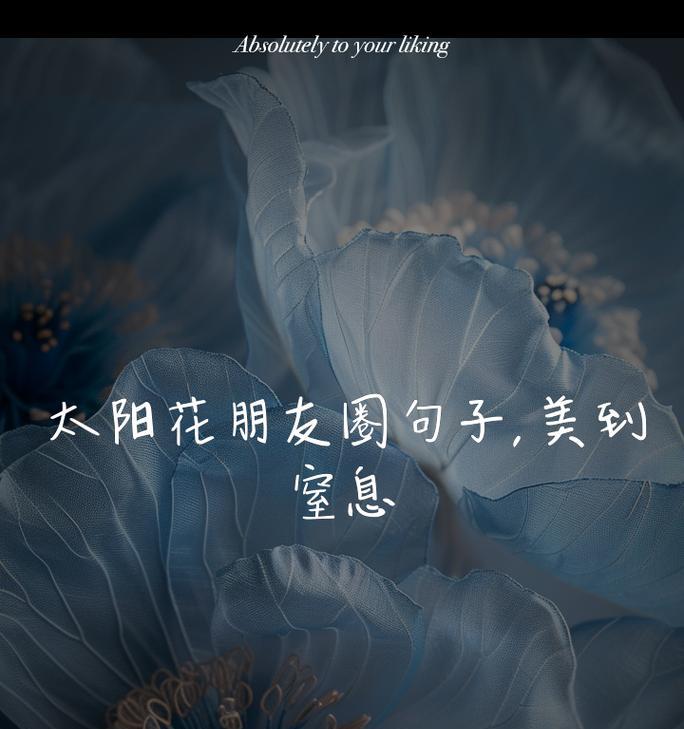 太阳花代表友情还是爱情？太阳花的寓意是什么？