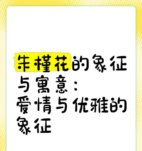 哪种花寓意爱情？爱情花的象征是什么？