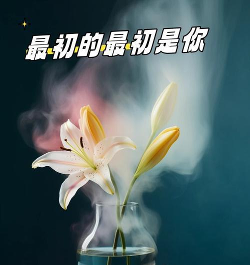 花和花语浪漫是什么？如何用花表达浪漫情感？