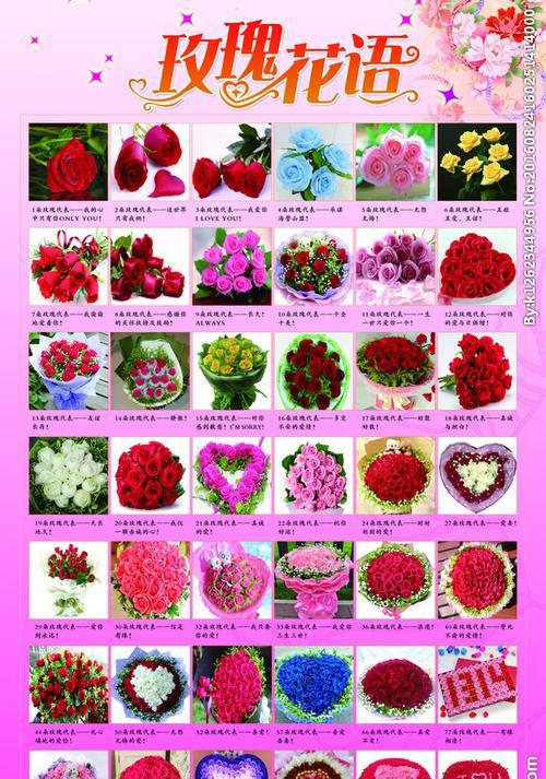 不同颜色玫瑰花的花语和含义是什么？