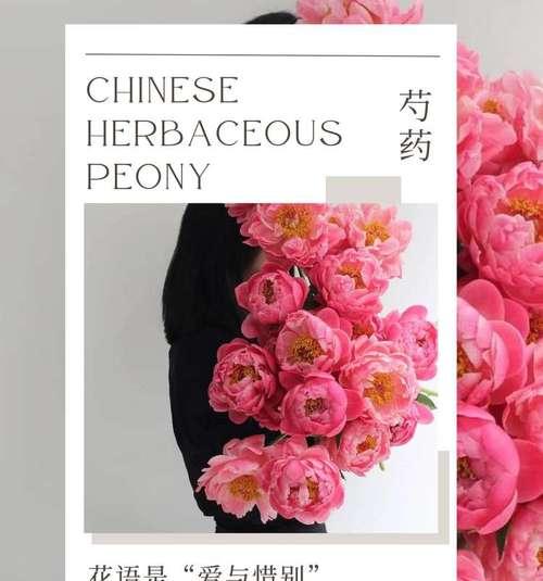 手捧花戴鸭舌帽有什么寓意？这种搭配的花语是什么？