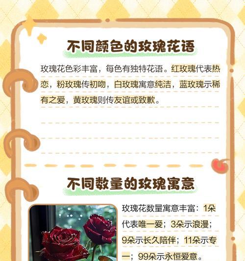 哪些花代表爱情的寓意？