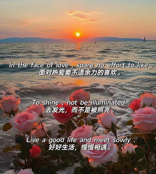 勇敢快乐的花语是什么？如何用花表达勇敢和快乐？