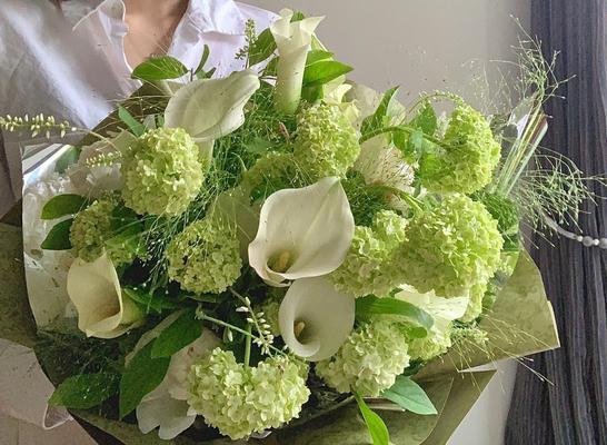 绿色系花语代表什么？绿色系花在花艺中扮演什么角色？