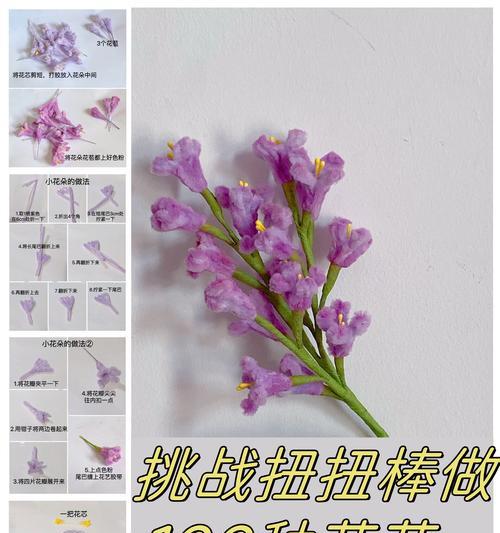 哪种花象征体育健康？它的花语和文化含义是什么？