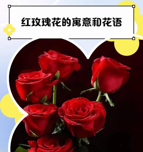 哪种花寓意离去的爱情？这些花的象征意义是什么？