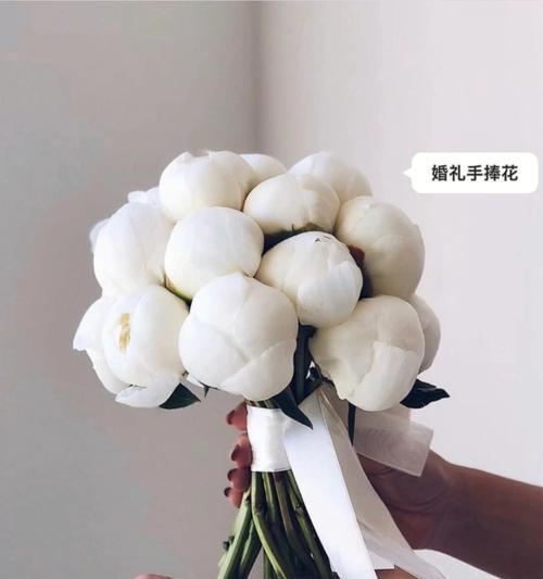 黑色礼服搭配的手捧花有何寓意？选择手捧花的技巧是什么？