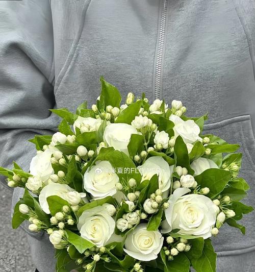 结婚手捧茉莉花代表什么？茉莉花在婚礼中的寓意是什么？
