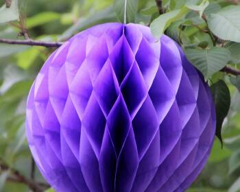 白色灯笼紫色花的含义是什么？紫色花的寓意有哪些？