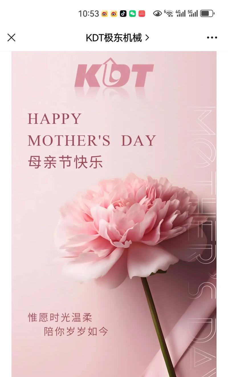 母亲节送什么花象征美丽？哪种花代表母亲节的美丽？
