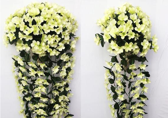 两束手捧花合并吊兰代表什么？它的寓意是什么？