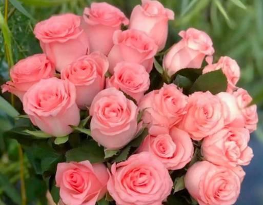 粉色玫瑰花送给闺蜜代表什么？粉色玫瑰花的寓意是什么？