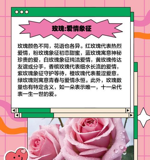 哪些花的花语和含义与爱情相关？