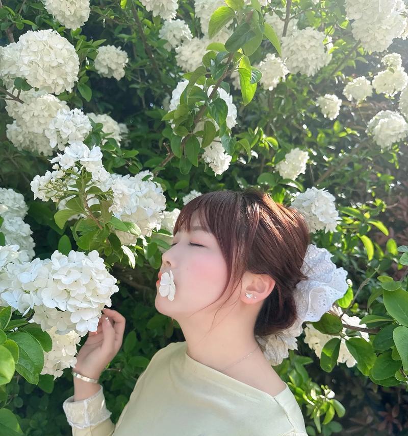 情人节绣球花有何寓意？绣球花的花语是什么？