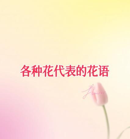 如何通过花语表达浪漫？哪些花语最能代表浪漫？