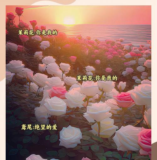 如何通过花语表达浪漫？哪些花语最能代表浪漫？