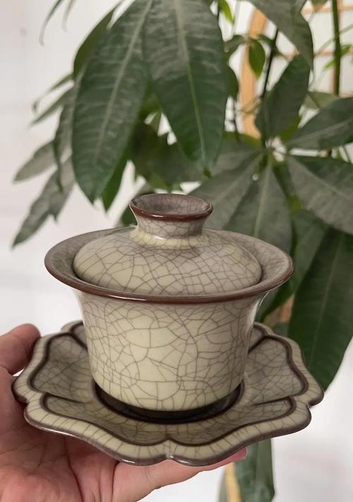红色紫色藤花盖碗象征着什么？盖碗的寓意有哪些？